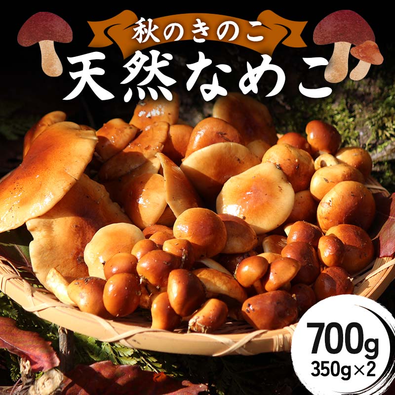 楽天市場】【ふるさと納税】【令和8年産先行予約】山形県 鶴岡市産