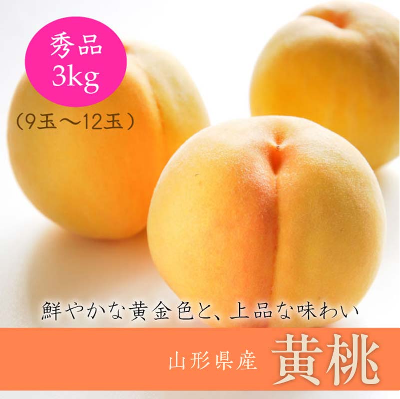 【ふるさと納税】 《2025年産先行受付》山形県産 黄桃 3kg ※品種玉数おまかせ もも モモ 桃 デザート フルーツ 果物 くだもの 果実 食品 山形県 FSY-0018