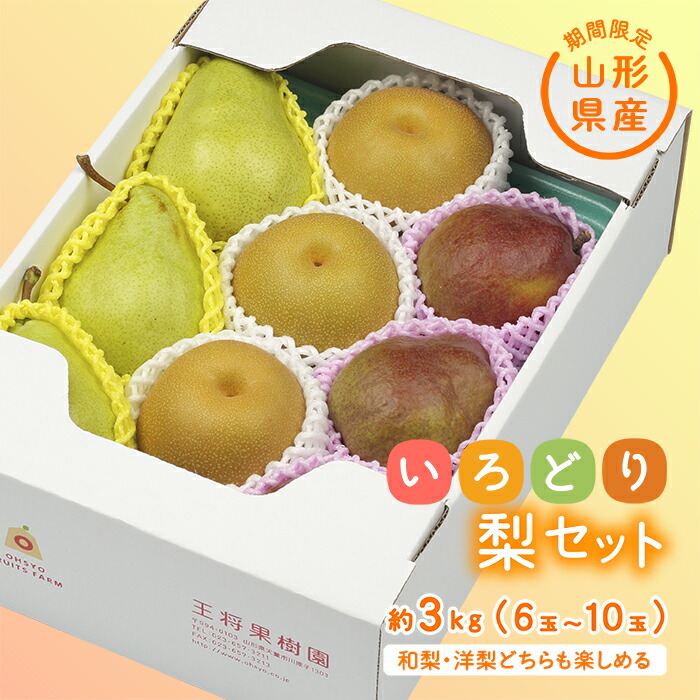 【ふるさと納税】《先行予約 2025年度発送》【王将果樹園】いろどり梨セット なし ナシ 梨 デザート フルーツ 果物 くだもの 果実 食品 山形県 FSY-0075