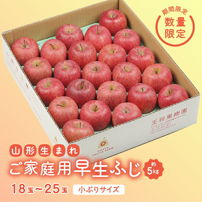 【ふるさと納税】《先行予約 2025年度発送》【王将果樹園】ご家庭用早生ふじ 5kg りんご リンゴ 林檎 デザート フルーツ 果物 くだもの 果実 食品 山形県 FSY-0076