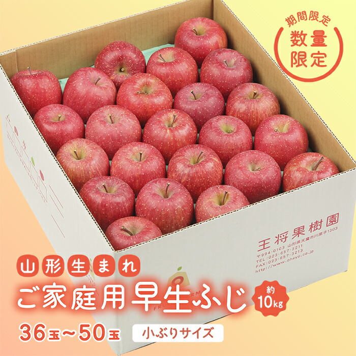 【ふるさと納税】《先行予約 2025年度発送》【王将果樹園】ご家庭用早生ふじ 10kg りんご リンゴ 林檎 デザート フルーツ 果物 くだもの 果実 食品 山形県 FSY-0077