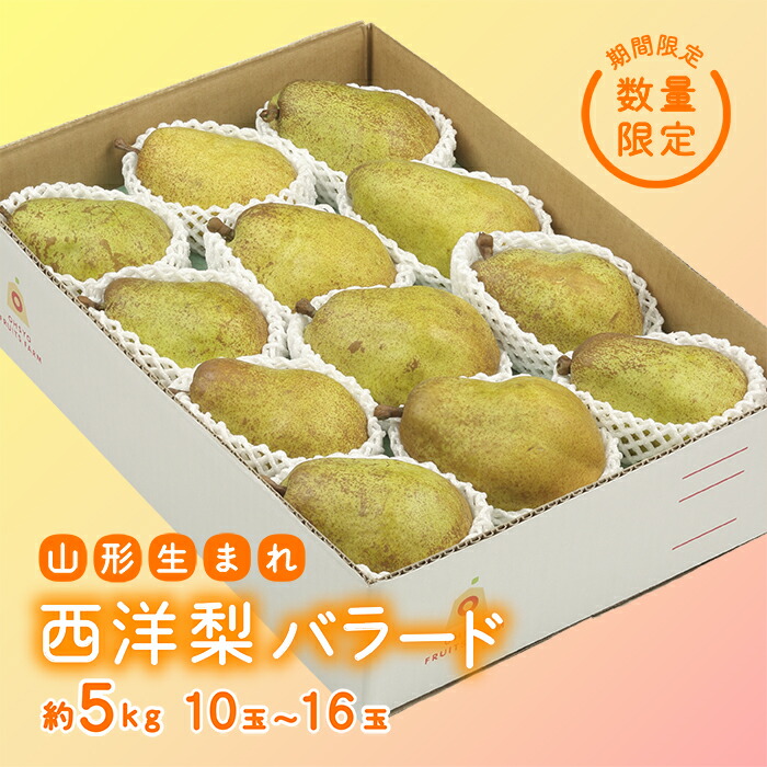 【ふるさと納税】《先行予約 2025年度発送》【王将果樹園】西洋梨バラード5kg なし ナシ 梨 デザート フルーツ 果物 くだもの 果実 食品 山形県 FSY-1856