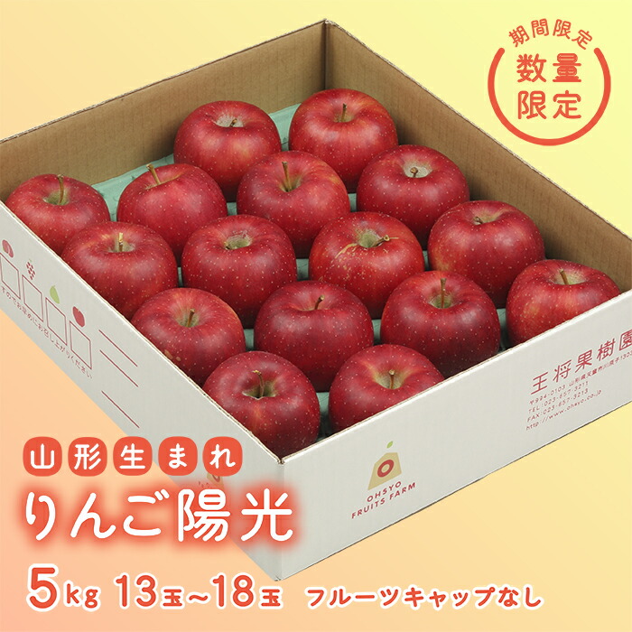 【ふるさと納税】《先行予約 2025年度発送》【王将果樹園】りんご陽光5kg りんご リンゴ 林檎 デザート フルーツ 果物 くだもの 果実 食品 山形県 FSY-1857