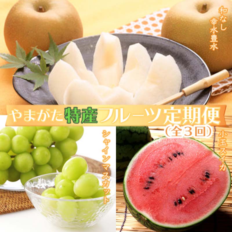 【ふるさと納税】《2025年発送先行予約》やまがた特産フルーツ定期便（全3回） マスカット ぶどう ブドウ 葡萄 デザート フルーツ 果物 くだもの 果実 食品 山形県 FSY-0098