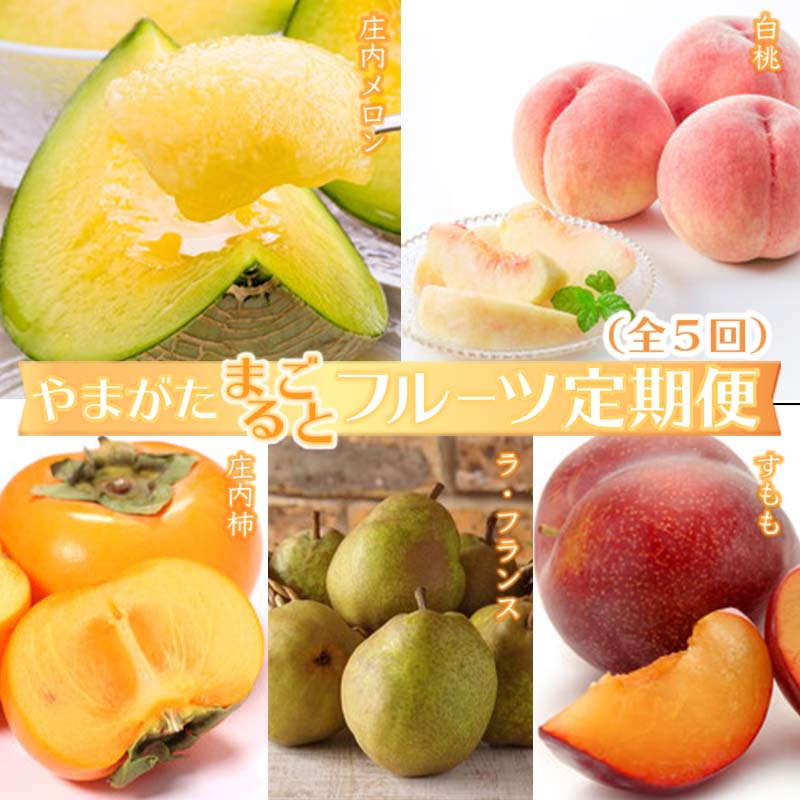 【ふるさと納税】《2025年発送先行予約》やまがたまるごとフルーツ定期便（全5回） もも モモ 桃 デザート フルーツ 果物 くだもの 果実 食品 山形県 FSY-0099