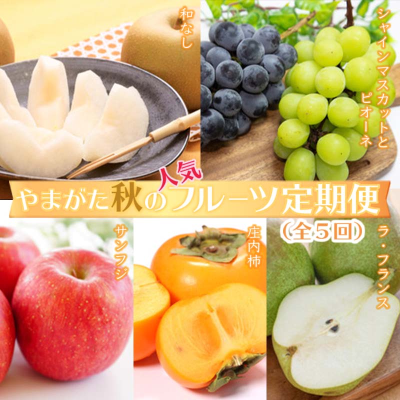 【ふるさと納税】《2025年発送先行予約》やまがた秋の人気フルーツ定期便（全5回） デザート フルーツ 果物 くだもの 果実 食品 山形県 FSY-0100