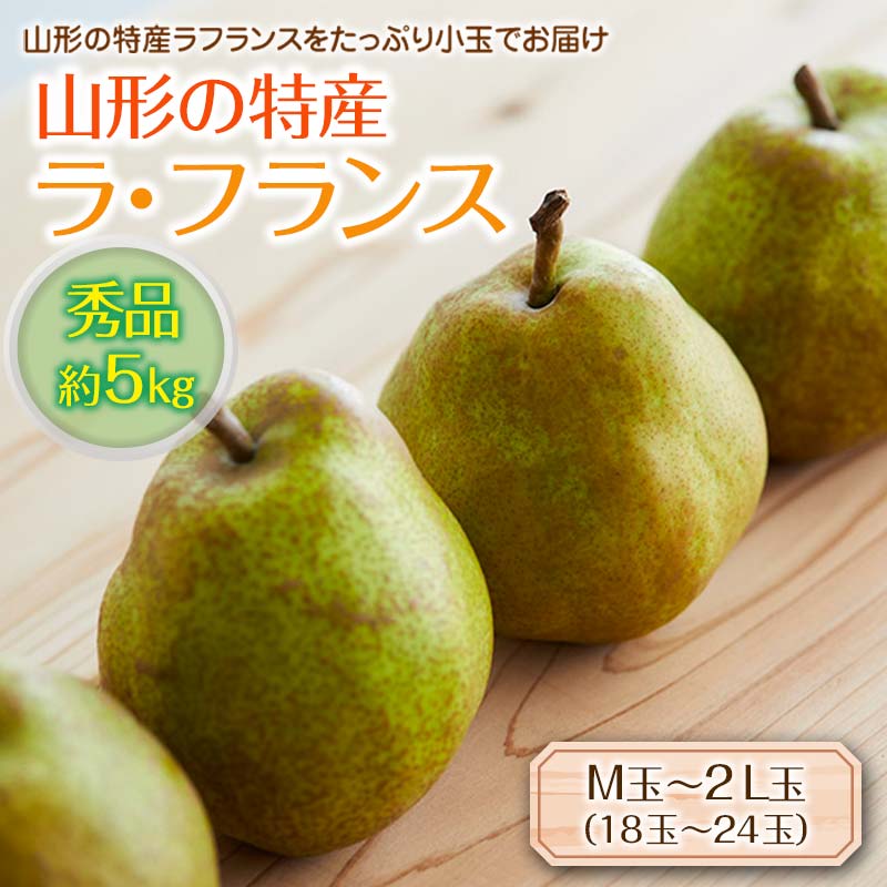 【ふるさと納税】《先行予約 2025年度発送》山形の特産ラ・フランス約5kg☆小玉をお届け！ なし ナシ 梨 デザート フルーツ 果物 くだもの 果実 食品 山形県 FSY-0115