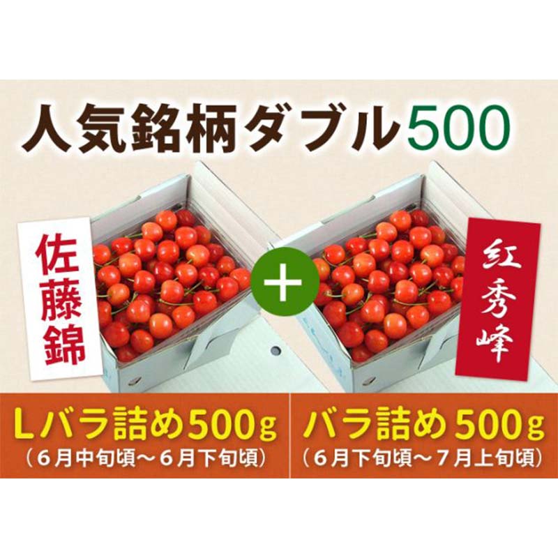 【ふるさと納税】 《先行予約 2025年度発送》【頒布会】さくらんぼ人気銘柄ダブル500(佐藤錦&紅秀峰) FSY-0155