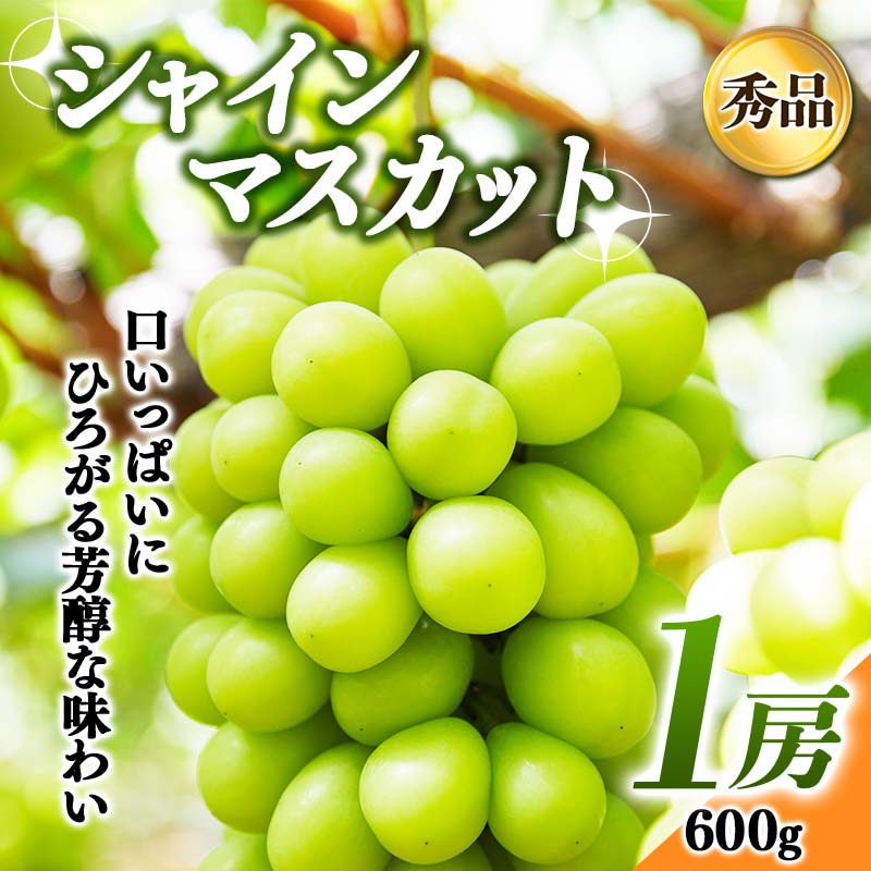 【ふるさと納税】 《先行予約 2026年発送》～秋のご褒美～シャインマスカット1房（600g） マスカット ぶどう ブドウ 葡萄 デザート フルーツ 果物 くだもの 果実 食品 山形県 FSY-0175