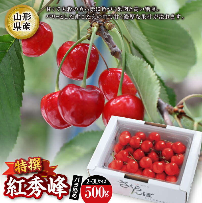 【ふるさと納税】 《先行予約 2025年度発送》紅秀峰 特選バラ詰め【500g】 FSY-2209