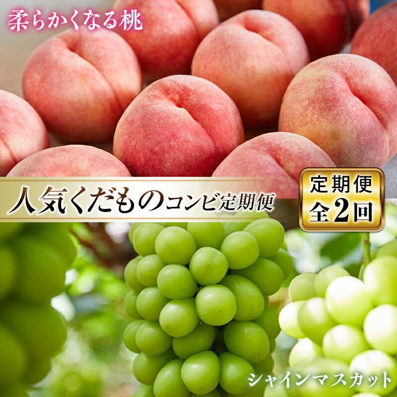 【ふるさと納税】《先行予約 2025年発送》人気くだものコンビ！定期便～ももとシャインマスカット～ もも モモ 桃 デザート フルーツ 果物 くだもの 果実 食品 山形県 FSY-0213