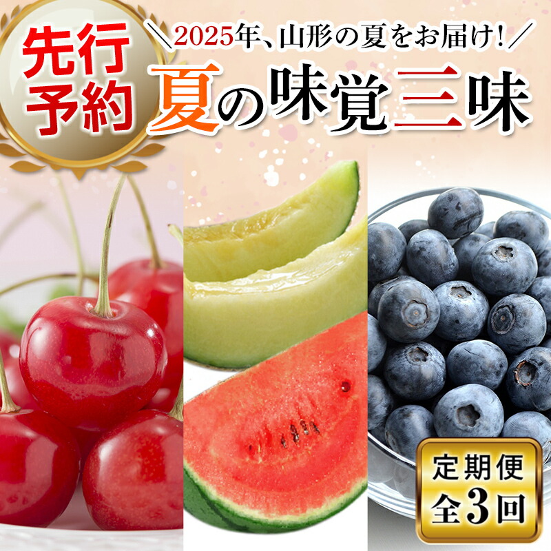 【ふるさと納税】【先行予約（2025年度発送）】夏の味覚三昧（3回定期便） FSY-0333