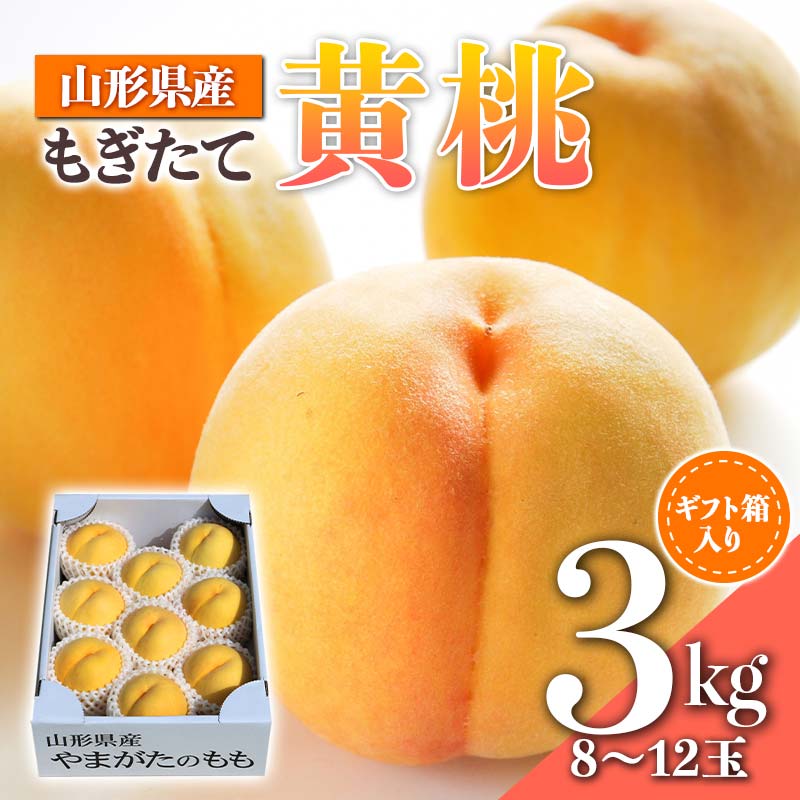 【ふるさと納税】【先行受付 令和7年度発送】山形もぎたて黄桃3kg ギフト箱入り もも モモ 桃 デザート フルーツ 果物 くだもの 果実 食品 山形県 FSY-0345