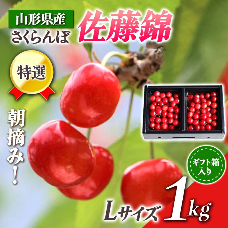 【ふるさと納税】【先行受付 令和7年度発送】山形県産 朝摘みさくらんぼ 特選佐藤錦1kg ギフト箱入り FSY-0348