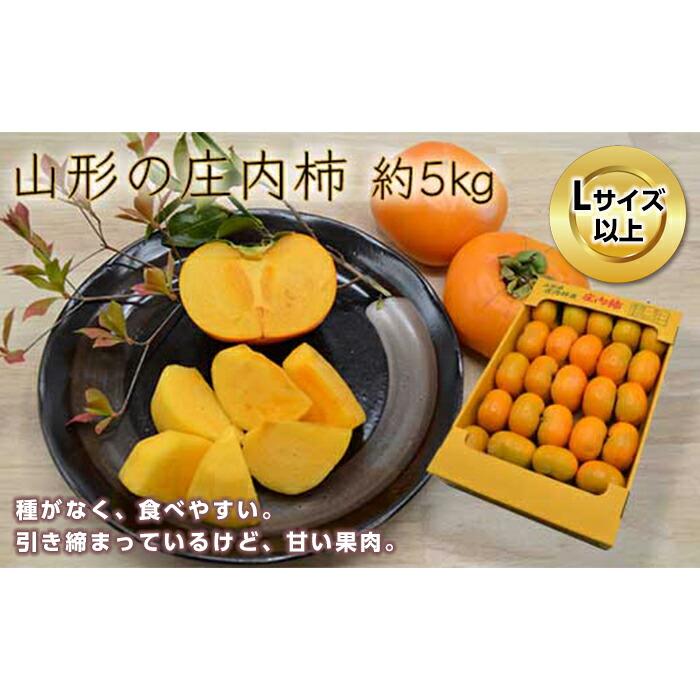 【ふるさと納税】《先行予約 2025年度発送》山形の庄内柿 約5kg（27～32玉）L以上 柿 かき デザート フルーツ 果物 くだもの 果実 食品 山形県 FSY-0383