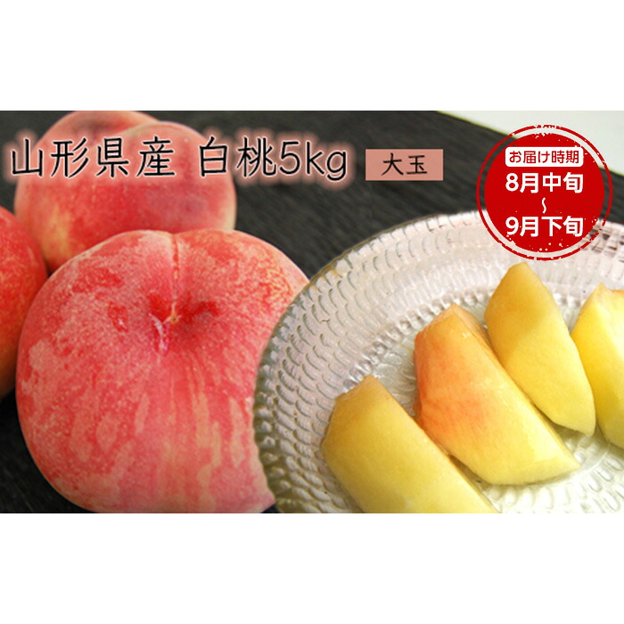 【ふるさと納税】 《先行予約 2026年度発送》【山形県産】白桃5kg(大玉13～20玉) もも モモ 桃 デザート フルーツ 果物 くだもの 果実 食品 山形県 FSY-2500｜山形県