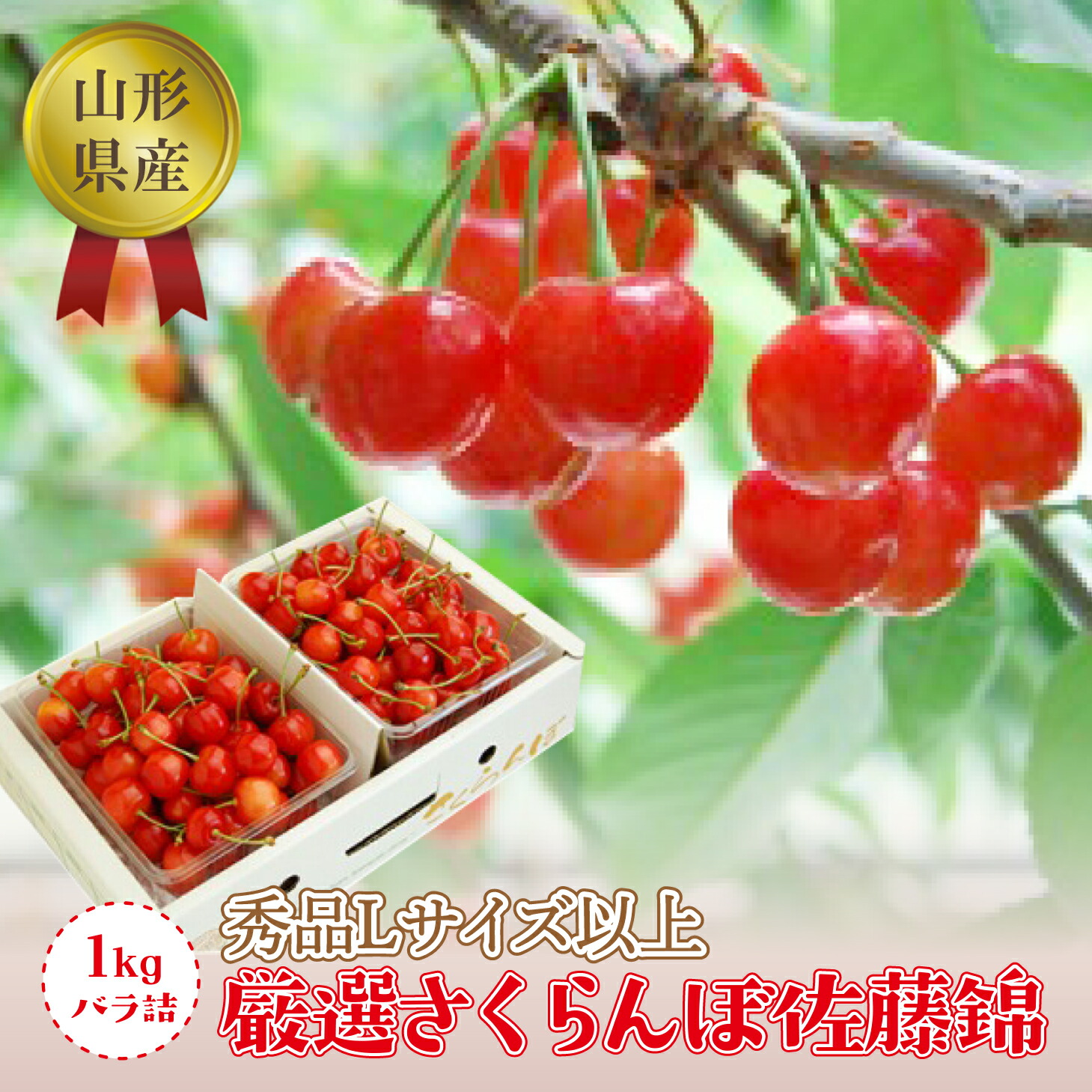 【ふるさと納税】 《2025年度発送》【山形県産】さくらんぼ佐藤錦1kgバラ詰（秀品Lサイズ以上） FSY-1289