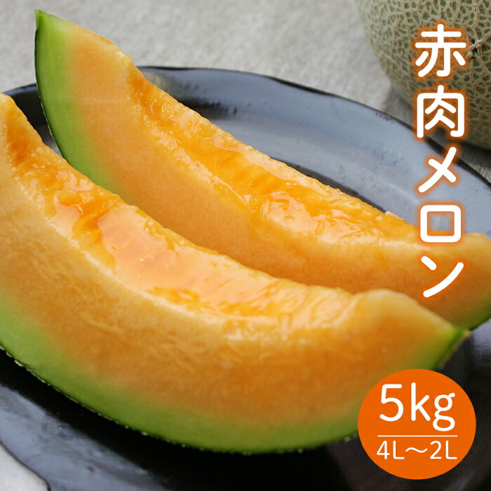 【ふるさと納税】《先行予約 2025年度発送》山形県産庄内メロン約5kg【赤肉メロン】4L～2Lサイズ 赤肉メロン メロン 赤肉 デザート フルーツ 果物 くだもの 果実 食品 山形県 FSY-0399