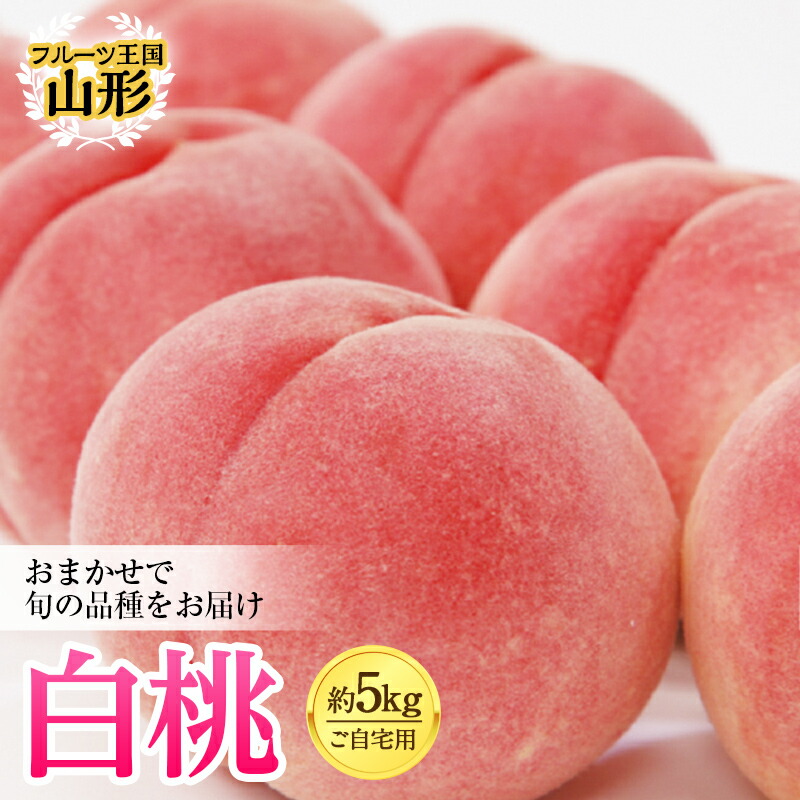 【ふるさと納税】《先行予約》フルーツ王国山形 白桃 約5kg ご自宅用 もも モモ 桃 デザート フルーツ 果物 くだもの 果実 食品 山形県 FSY-0425