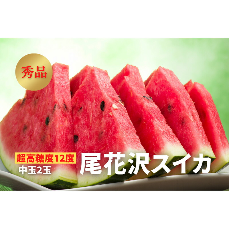 【ふるさと納税】《2025年先行予約》【超高糖度12度】尾花沢スイカ 秀品 中玉2玉 FSY-0448