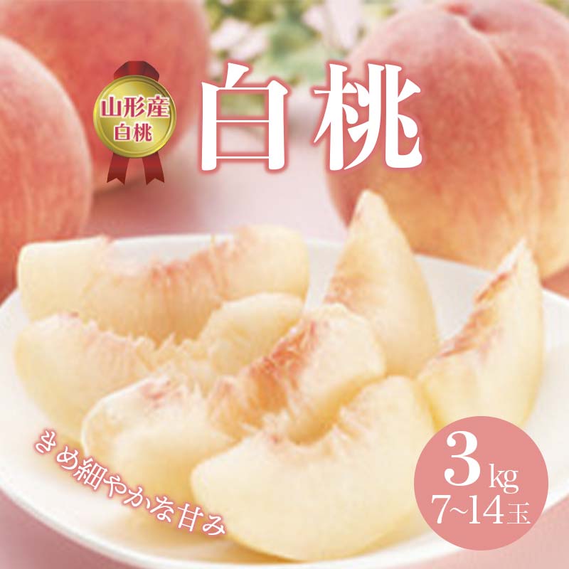 【ふるさと納税】 《先行予約 2026年度発送》白桃 3kg(7~14玉) もも モモ 桃 デザート フルーツ 果物 くだもの 果実 食品 山形県 FSY-0509｜山形県 12,070円