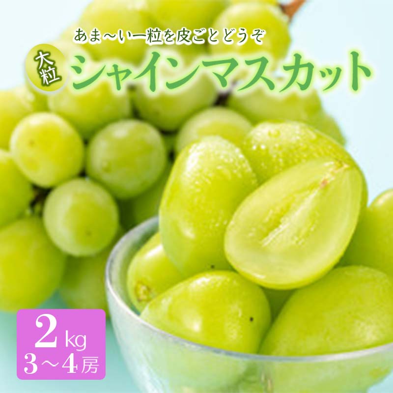 【ふるさと納税】 《先行予約 2026年度発送》シャインマスカット 2kg マスカット ぶどう ブドウ 葡萄 デザート フルーツ 果物 くだもの 果実 食品 山形県 FSY-0511｜山形県