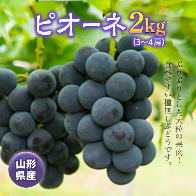 【ふるさと納税】 《先行予約 2026年度発送》ピオーネ2kg(3～4房) ぶどう ブドウ 葡萄 デザート フルーツ 果物 くだもの 果実 食品 山形県 FSY-0526
