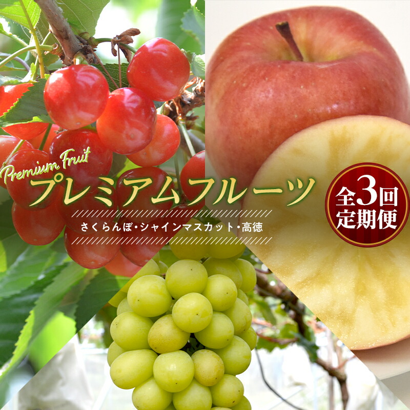 【ふるさと納税】《先行予約 令和7年6月中旬発送開始 定期便》プレミアムフルーツ （さくらんぼ シャインマスカット 高徳りんご） FSY-1884