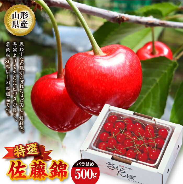 【ふるさと納税】 《先行予約 2025年度発送》佐藤錦 特選バラ詰め【500g】 FSY-2207