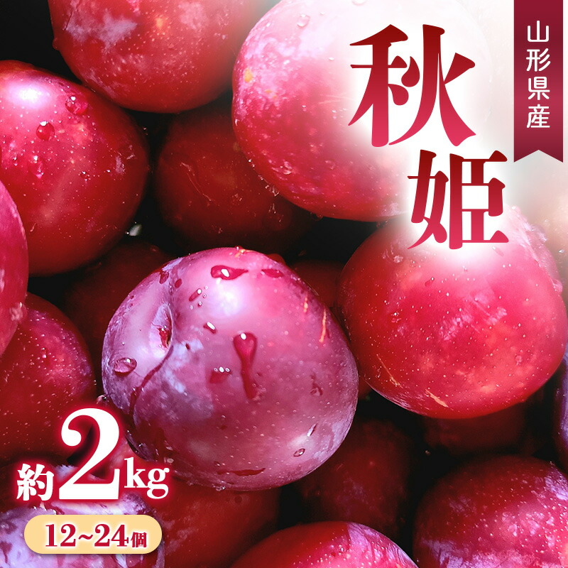 【ふるさと納税】【先行予約 令和7年度発送】すもも 秋姫 約2kg（12～24玉） フルーツ 果物 くだもの 果実 食品 山形県 FSY-0666