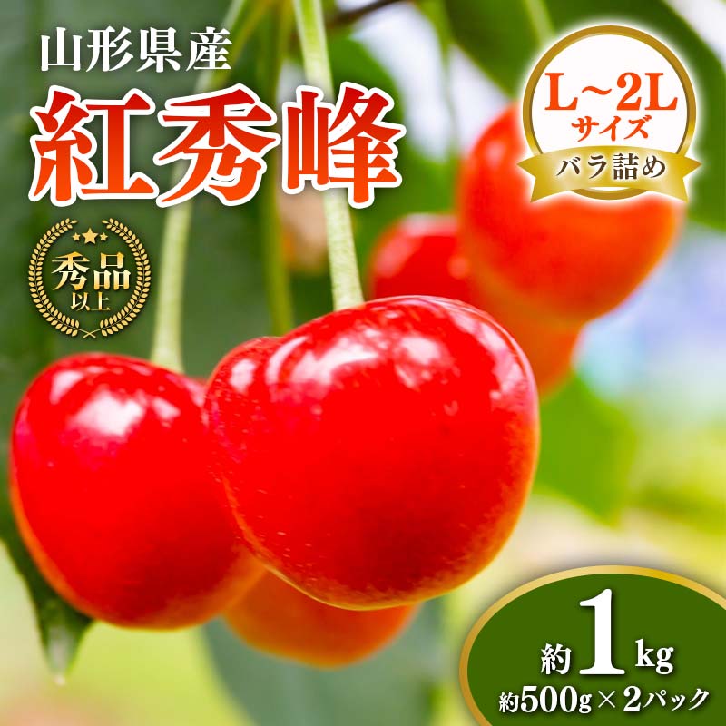 【ふるさと納税】【先行予約 令和7年度発送】山形県産 さくらんぼ 紅秀峰 約1kg（500g×2パック）秀品以上 L～2Lサイズ FSY-0676