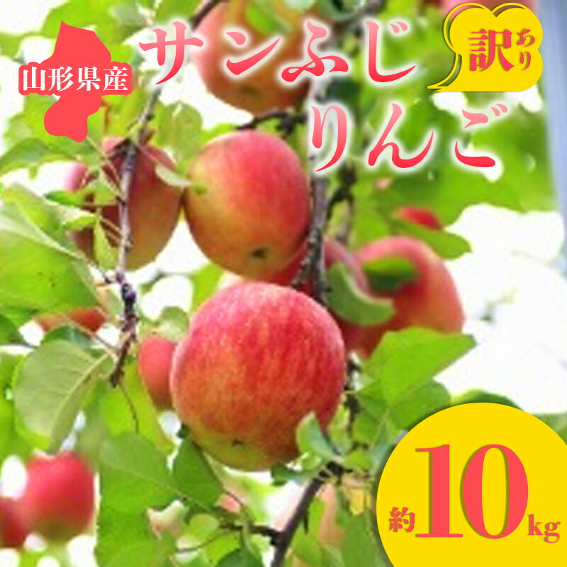 【ふるさと納税】≪2025年先行予約≫ 訳あり サンふじりんご 約10kg りんご リンゴ 林檎 デザート フルーツ 果物 くだもの 果実 食品 山形県 FSY-0679