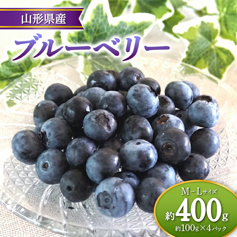 【ふるさと納税】【先行予約 令和7年度発送】山形県産 ブルーベリー 約100g×4パック M～Lサイズ FSY-0683
