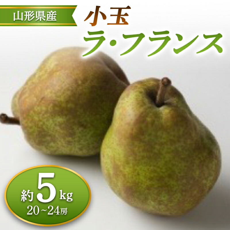 【ふるさと納税】≪2025年先行予約≫ 山形県産 小玉ラ・フランス 約5kg なし ナシ 梨 デザート フルーツ 果物 くだもの 果実 食品 山形県 FSY-0687
