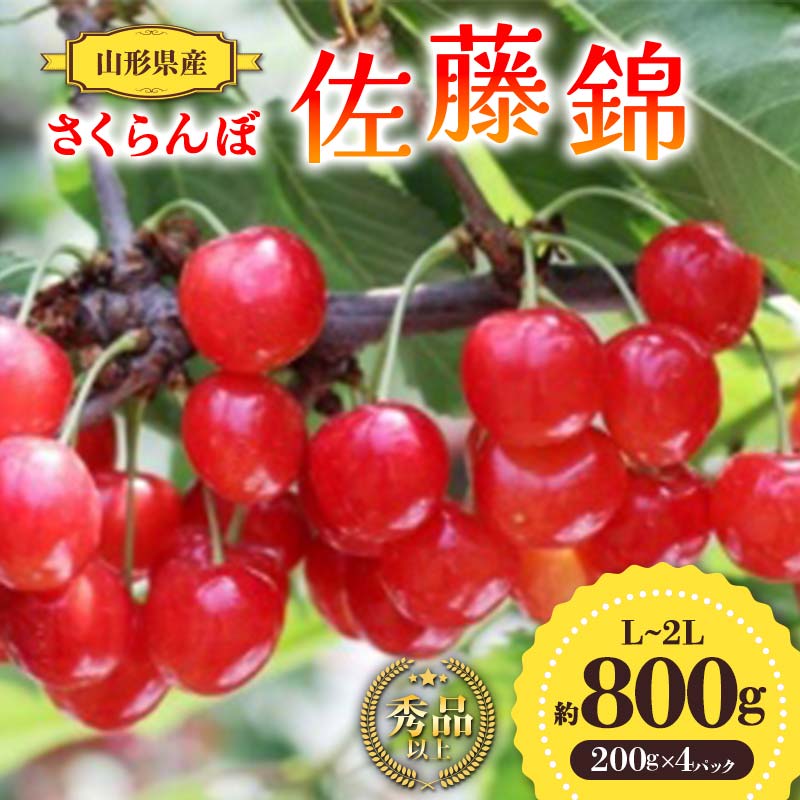 【ふるさと納税】【先行予約 令和7年度発送】山形県産 さくらんぼ 佐藤錦 約800g（200g×4パック）秀品以上 L～2Lサイズ FSY-0691