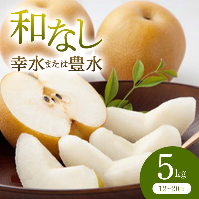 【ふるさと納税】 《先行予約 2026年度発送》 和なし(幸水または豊水) 5kg なし ナシ 梨 デザート フルーツ 果物 くだもの 果実 食品 山形県 FSY-0709｜山形県