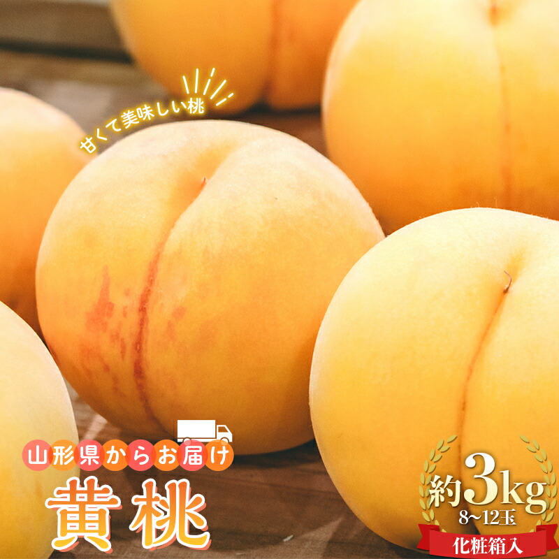 【ふるさと納税】【先行予約 2025年度発送】山形県産 黄桃 約3kg 8～12玉 化粧箱入 もも モモ 桃 デザート フルーツ 果物 くだもの 果実 食品 山形県 FSY-0742