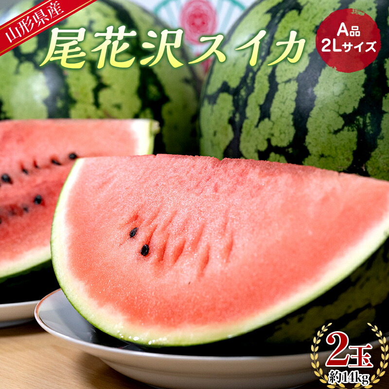 【ふるさと納税】 【先行予約 2025年度発送】山形県産 尾花沢スイカ A品 2L 2玉 約14kg FSY-0748
