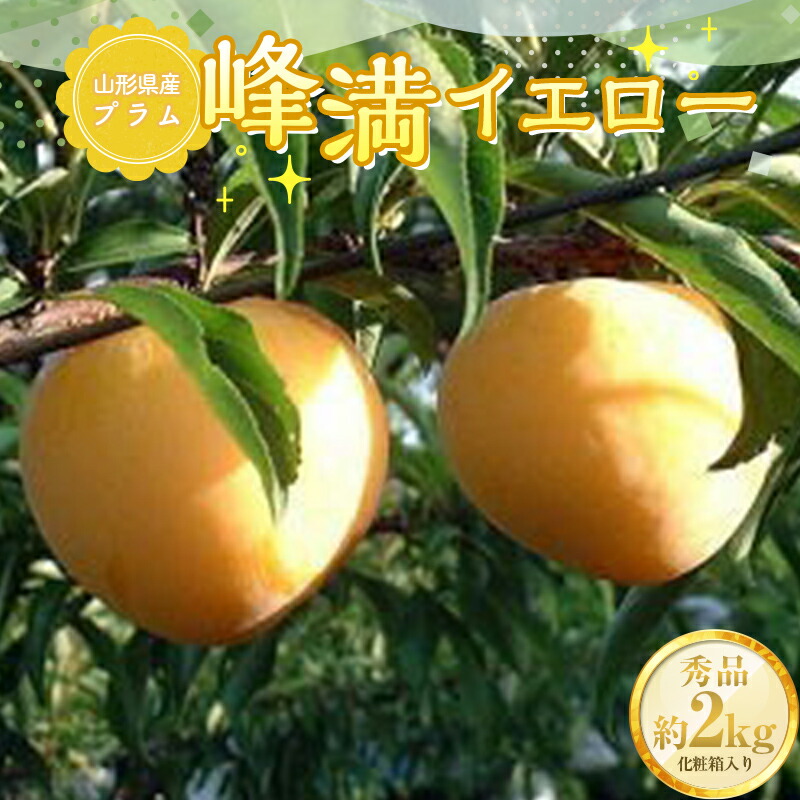【ふるさと納税】《2025年先行予約》山形県産 プラム 峰満イエロー 約2kg （8玉～13玉） 秀品 化粧箱入り  フルーツ 果物 くだもの 果実 食品 山形県 FSY-0824