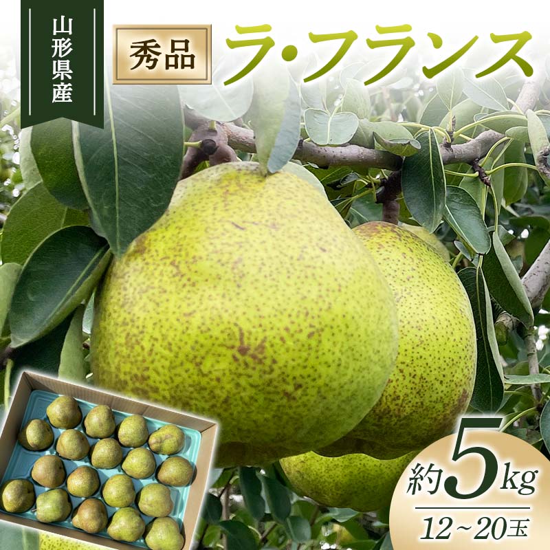 【ふるさと納税】山形県産 梨 12～20玉 約5kg ラ・フランス 秀品 (2025年10月下旬頃～12月中旬頃発送) 先行予約 なし ナシ デザート フルーツ 果物 くだもの 食品 FSY-1891