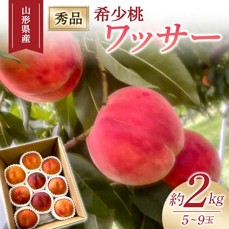 【ふるさと納税】 【2025年度先行予約】希少桃 ワッサー 2kg 5玉～9玉 FSY-1026
