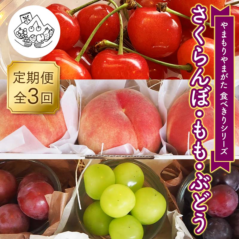 【ふるさと納税】【先行予約 2025年度発送】《食べきりシリーズ》～さくらんぼ・もも・ぶどう～ FSY-1030