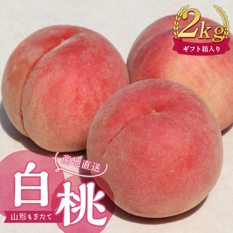 【ふるさと納税】【先行受付 令和8年度発送】山形もぎたて白桃2kg ギフト箱入り もも モモ 桃 デザート フルーツ 果物 くだもの 果実 食品 山形県 FSY-1036|山形県