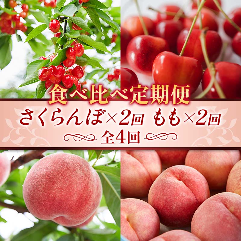 【ふるさと納税】【先行予約 2025年度発送】 【食べ比べ定期便】～さくらんぼ×2・もも×2～ FSY-1039
