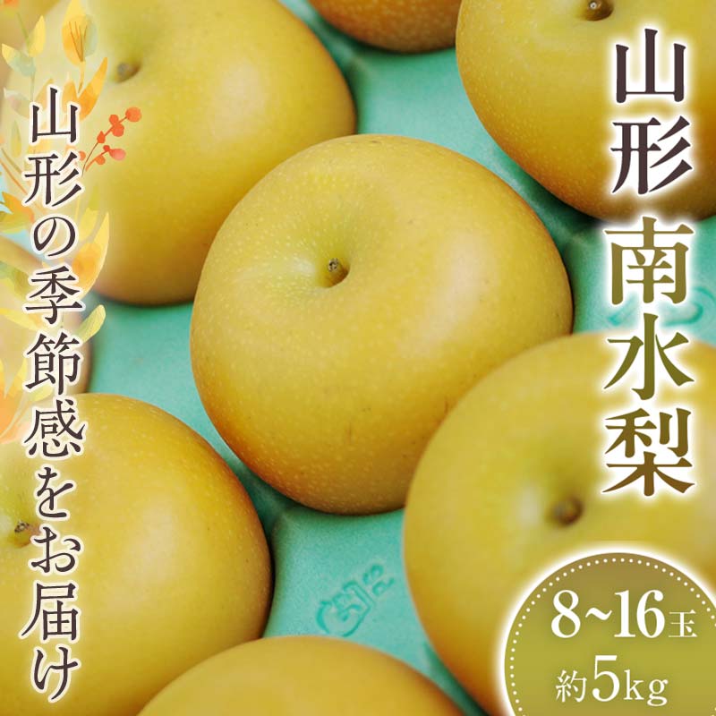 【ふるさと納税】南水梨 約8玉～約16玉 約5kg 【2025年9月から発送】 なし ナシ 梨 デザート フルーツ 果物 くだもの 果実 食品 山形県 FSY-1074