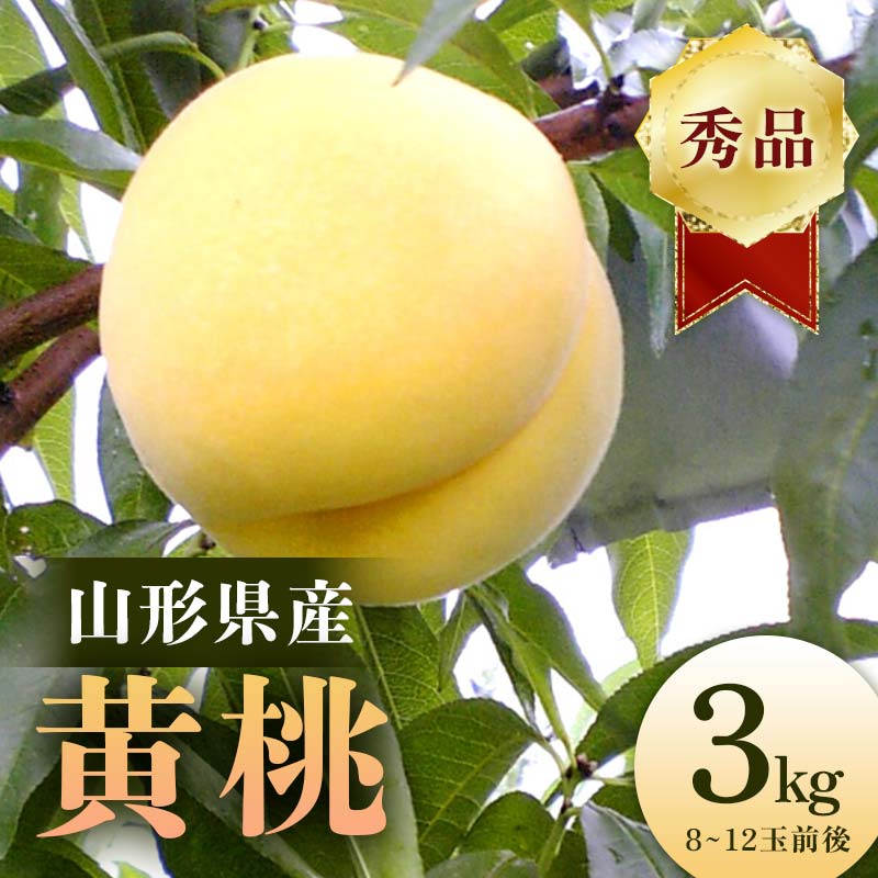 【ふるさと納税】 【2026年産 先行予約】山形県産 黄桃 秀品 3kg(8~12玉前後) もも モモ 桃 デザート フルーツ 果物 くだもの 果実 食品 山形県 FSY-2203|山形県