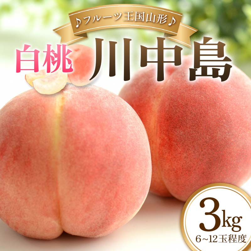 【ふるさと納税】 【先行予約 2026年度発送】♪フルーツ王国山形♪白桃(川中島) もも モモ 桃 デザート フルーツ 果物 くだもの 果実 食品 山形県 FSY-2478|山形県