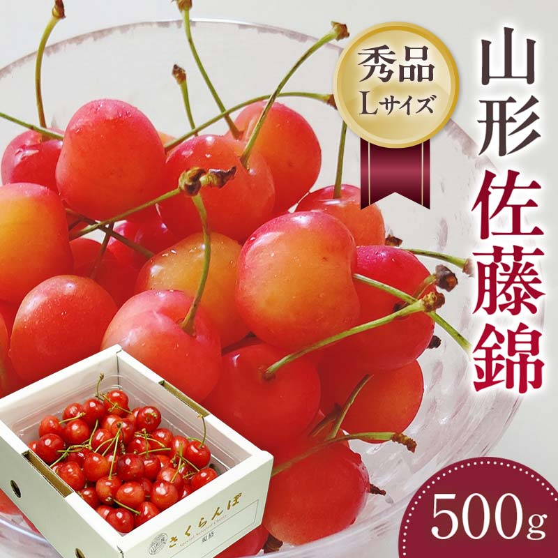 【ふるさと納税】【さくらんぼ令和7年6月発送】山形県 佐藤錦 500gパック箱入り FSY-1154