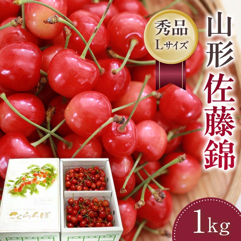 【ふるさと納税】【さくらんぼ令和7年6月発送】山形県 佐藤錦 500g×2パック箱入り合計1kg FSY-1155