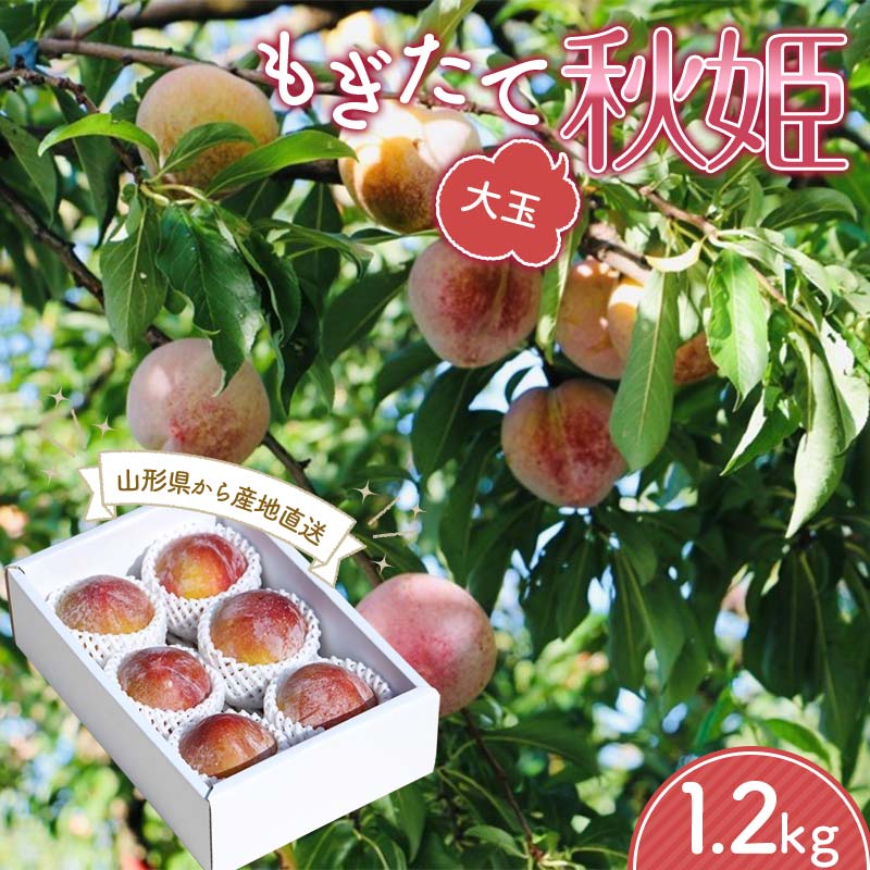 【ふるさと納税】【先行受付 令和8年度発送】山形 もぎたて大玉秋姫（すもも）1.2kg フルーツ 果物 くだもの 果実 食品 山形県 FSY-1209